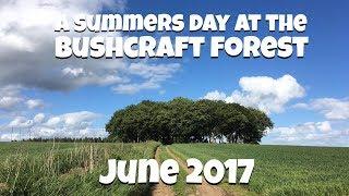 A Summers Day at the Bushcraft Forest - June 2017