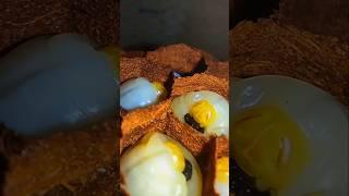 Why do hornet larvae hit the wall with their heads? #shorts #hornet