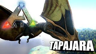 Taming A Tapejara | Ark Survival Evolved | The Island