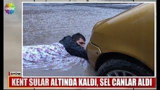 Sefa Kindir Yeni Çekilen Tüm Videolar