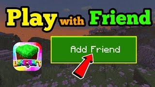 How To Play Multiplayer with Friends in Lokicraft