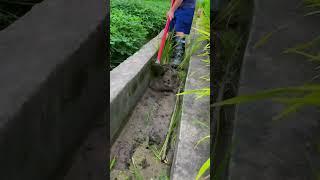 Clean up the gutter debris. Good tools make the job easy