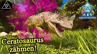 Ceratosaurus zähmen! ► ASA E62 - ARK: Survival Ascended