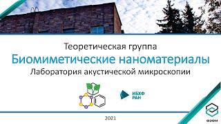 Екатерина Суханова. Лаборатория биомиметических наноматериалов. ИБХФ РАН. ФЭФМ МФТИ.