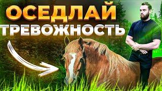 8 СПОСОБОВ ИЗБАВЛЕНИЯ ОТ ТРЕВОЖНОСТИ