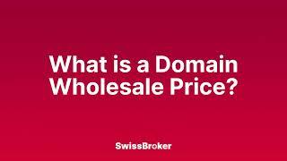 What is the meaning of a Domain Wholesale Price? [Audio Explainer]