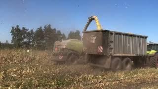 Демонстрация комбайна CLAAS Jaguar 870 в Курской обл., Горшеченский р-н., с. Болото в ООО «Восход»