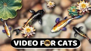 CAT GAMES - Relaxing Koi Fish Pond. Videos for Cats | CAT TV | 1 Hour.