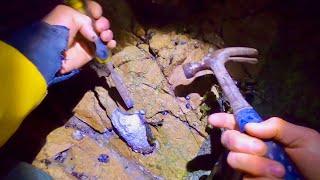 GIANT WILD OYSTER FORAGING WITH A HAMMER ! Catch Clean Cook