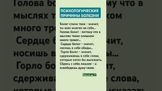 5 июня 2025 г.