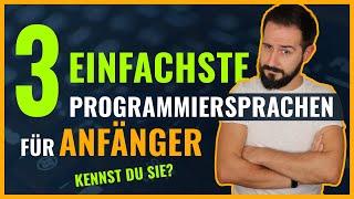 3 einfachste Programmiersprachen für Anfänger - Kennst du sie?