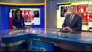 Count on 2 Investigation: Puppy Scams