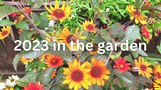 2023 in the garden