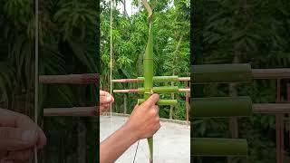 DIY - New Archer with bamboo #Bamboo #Craft #Idea