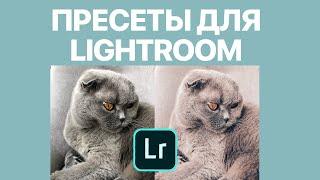 Как пользоваться пресетами в Lightroom на iPhone? Копируем, вставляем и сохраняем настройки пресета