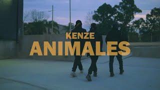 KENZE - ANIMALES (Prod. NECROW)