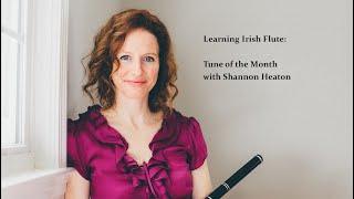 The Ashplant [Reel] - Tune of the Month with Shannon Heaton