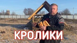 РАЗВЕДЕНИЕ КРОЛИКОВ В ВОЛЬЕРАХ И КУЧАХ ИЛИ В УСЛОВИЯХ, ПРИБЛИЖЕННЫХ К НАТУРАЛЬНЫМ