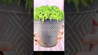 Transform Your #OutdoorSpace with #StarrySky #Planters | SG Traders™