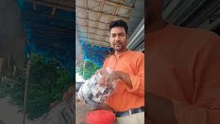 Shope #music #ytshorts