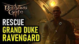 How to Search & Rescue Grand Duke Ravengard | Baldur's Gate 3 (BG3)