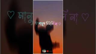 Moner kotha mone thakuk #monerkothamonethakuk#sadsong#sarbonash2#sadrapsongbangla#ujjalbarmannewsong