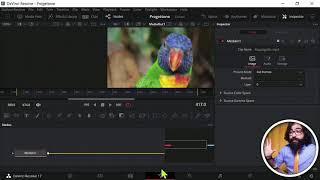 DaVinci Resolve in 10 minuti