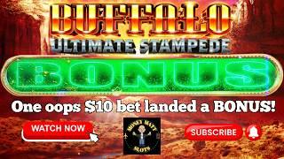 I Accidentally Bet $10 & Got the Bonus on Buffalo Ultimate Stampede!