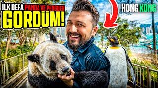 İLK DEFA PANDA VE PENGUEN GÖRDÜM | CHINA VLOG#3