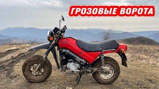 Сколько разгонится Тула 5.951?! Покатушка на Туле в горы!