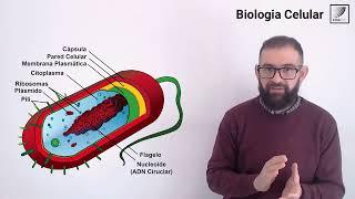 12. Biología Celular:  Clasificación de las células