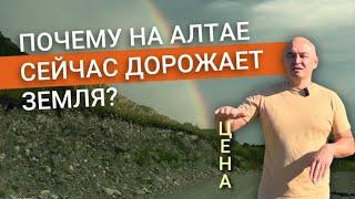 Почему земля в Республике Алтай дорожает. Купить участок выгодно.