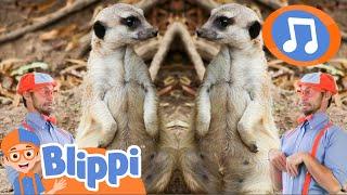 What's That Animal? | Blippi Songs｜Kids Songs｜Trucks for Kids