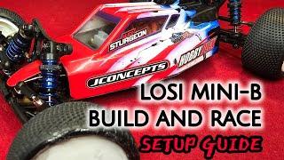 Losi Mini-B Bulld and Race Setup Guide - HobbyTown HobbyPlex