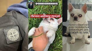 Сережа 001k и Себек|Истории 001k|Instastories 001k|Себек001k|Instagram Stories 001k