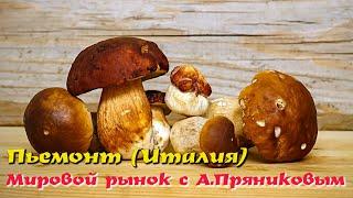  Пьемонт (Италия). Мировой рынок с Александром Пряниковым