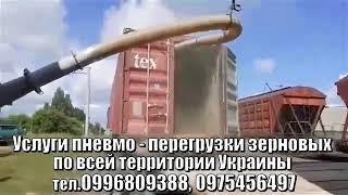 Погрузка зерна в вагоны, в контейнеры по Украине +380996809388