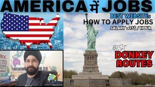 JOBS in America USA | Donkey Route | #jobsinusa