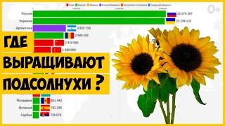 Мировое Производство Подсолнечника по Странам (1961-2019)