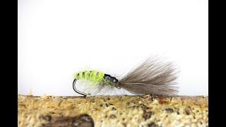 Fly Tying The CDC Grannom Sedge