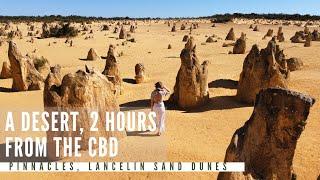 THE BEST WEEKEND ROAD TRIP JUST 2 HOURS FROM PERTH! Pinnacles, Lancelin Sand Dunes & Greenhead