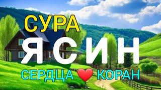 СУРА ЯСИН СЛУШАТЬ КАЖДЫЙ ДЕНЬ!