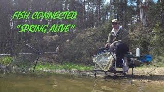 Приятный фидерный видос!  Feeder Fishing in Belarus!