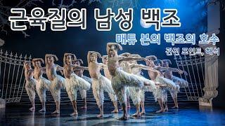 극강의 야성미, 근육질의 남성 백조 | 매튜 본의 백조의호수, 관전 포인트 해석