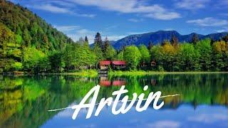 Artvin Cinematic Travel & Camp Video