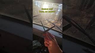Нашли у нашего папы в уазике кассету, рассказывала Лизе - что это такое...