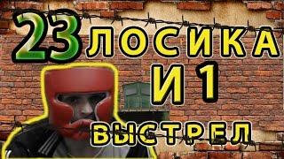 Мопс 23 убойных лосика и 1 выстрел АУЕ\Pug 23 lethal elk and 1 shot AUE