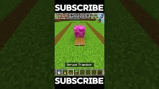 Minecraft viral hack #minecraft #shortvideo #gaming