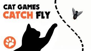 CAT GAMES  CATCH FLY ON THE SCREEN for cats