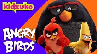  Action-Packed Silly Fun with Red and Friends!  | Angry Birds | Compilation | @Kidzuko